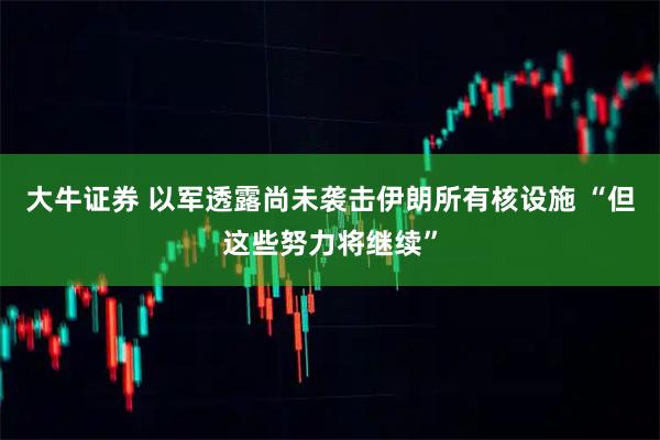大牛证券 以军透露尚未袭击伊朗所有核设施 “但这些努力将继续”
