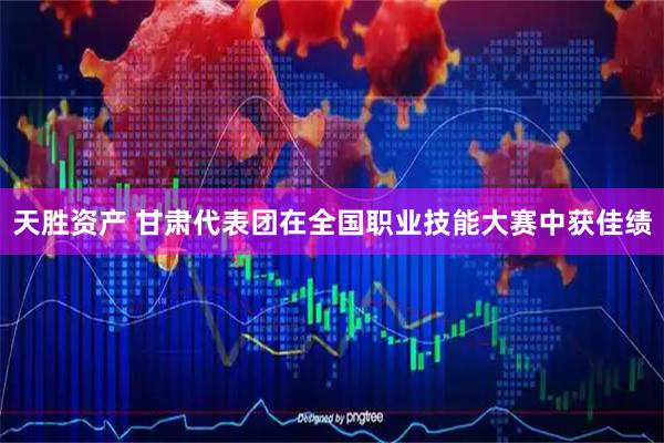 天胜资产 甘肃代表团在全国职业技能大赛中获佳绩